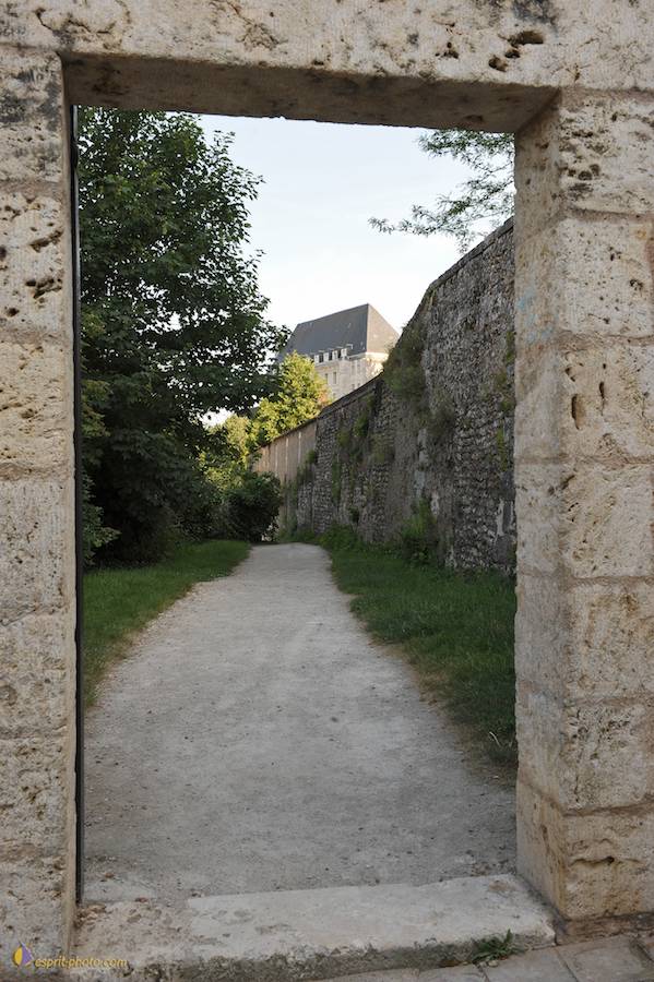 Nom de l'image : D30059199_1_(c)Norbert-JUNG — Description :